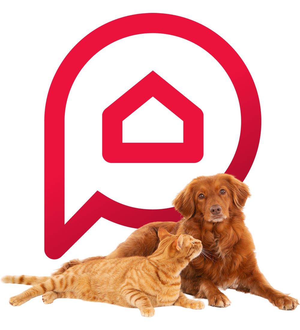 Meu Pet